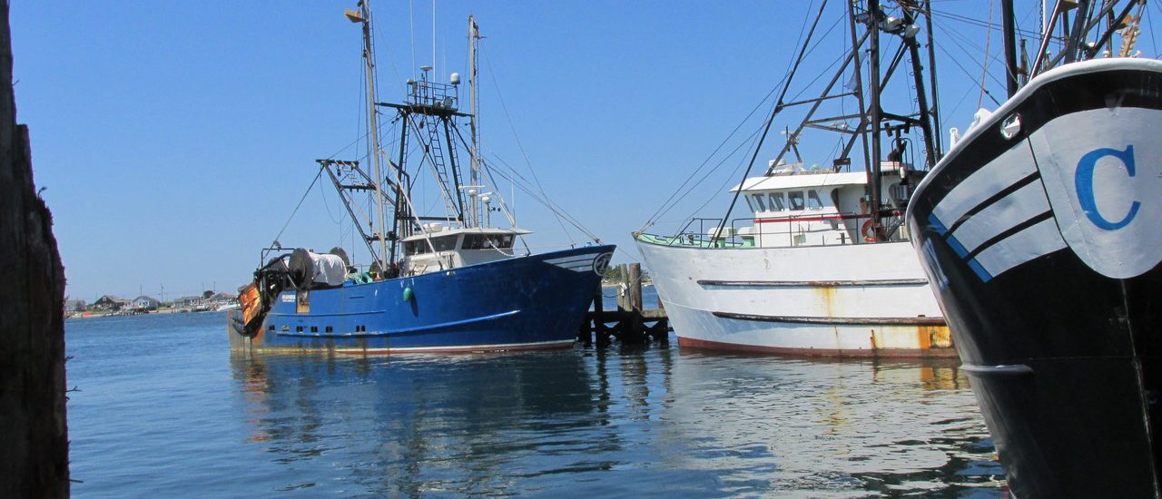 commercial fishing catamaran for sale
